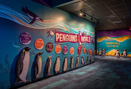 Ripley's Aquarium Penguins Playhouse